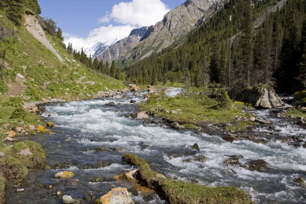 Moutain River 01